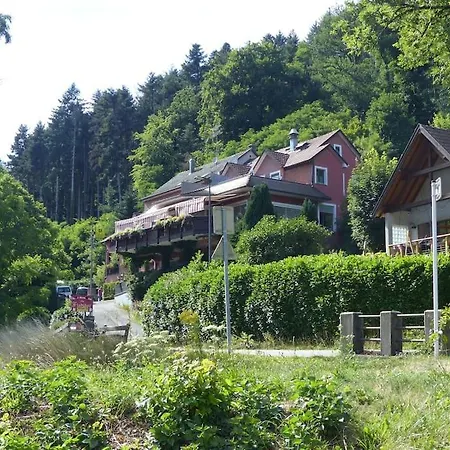 Entier Dans Un Ecrin De Verdure Thann