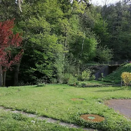 Entier Dans Un Ecrin De Verdure Apartment Thann