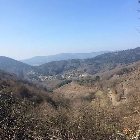 Entier Dans Un Ecrin De Verdure Apartmán Thann