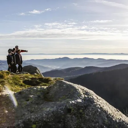 Apartamento Entier Dans Un Ecrin De Verdure Thann
