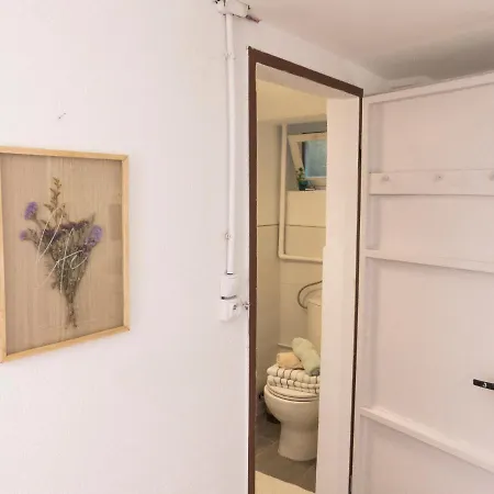 Entier Dans Un Ecrin De Verdure * Thann