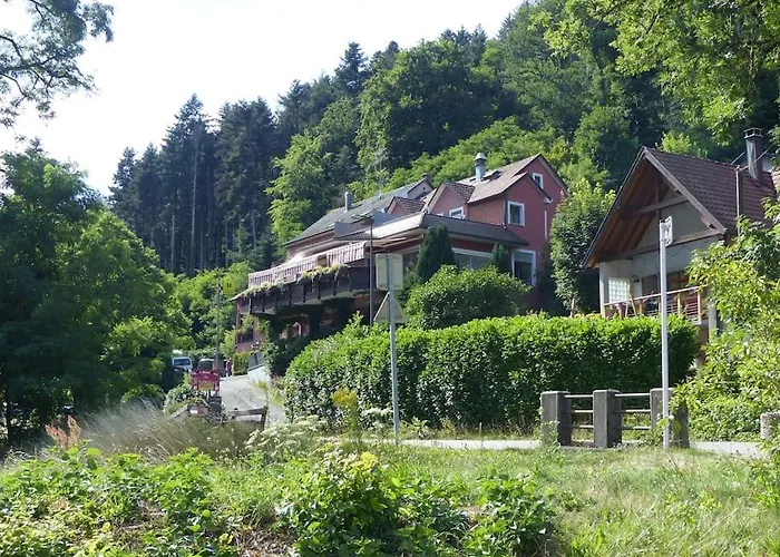 Entier Dans Un Ecrin De Verdure Thann