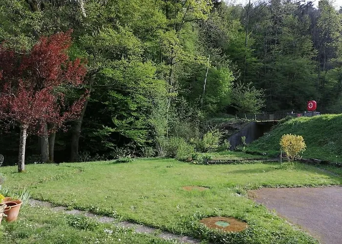 Entier Dans Un Ecrin De Verdure Daire Thann