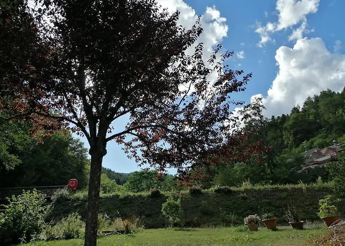 Entier Dans Un Ecrin De Verdure Thann