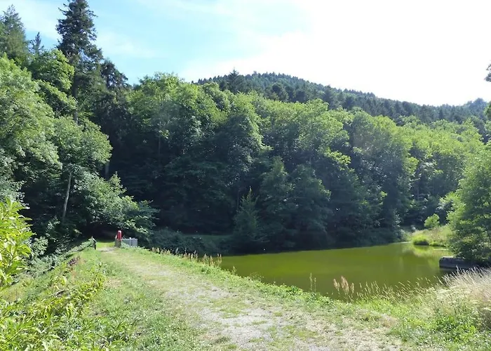 Daire Entier Dans Un Ecrin De Verdure *